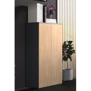 Produktbild für Aktenschrank VCM Dalosa 3-Fach 918324, aus Holz