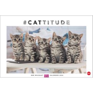Produktbild für Bildkalender Heye 1130, Whiskas Cattitude, Jahr 2026