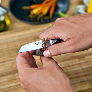 Produktbild für Gemüsemesser Zwilling Vier Sterne 31070-091