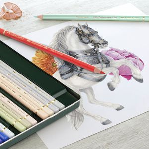 Produktbild für Buntstifte Faber-Castell Polychromos 110020