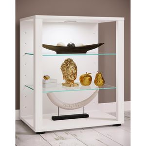 Produktbild für Glasvitrine VCM Glasol S, stehend