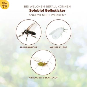 Produktbild für Gelbtafeln Solabiol Gelbsticker, 8 x 14 cm, zum Stecken