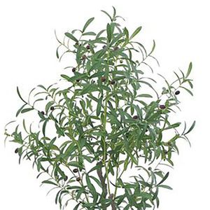 Produktbild für Kunstpflanze Decovego Olivenbaum