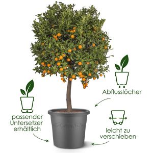 Produktbild für Pflanztopf elho Algarve Cilindro, 47 Liter