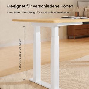 Produktbild für Schreibtisch FlexiSpot E7W Plus, ahorn / weiß