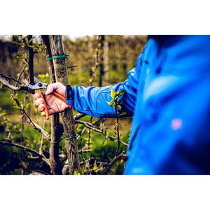 Produktbild für Gartenschere Original-LÖWE 15.104, Amboss mit Bypass-Geometrie