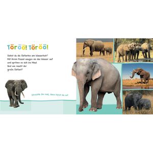 Produktbild für Spielbuch ars-Edition Zootiere - Hör mal rein