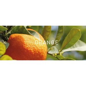 Produktbild für Duftöl Primavera Orange bio