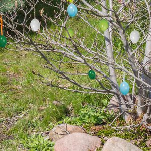 Produktbild für Osterdeko Rayher 3906012, blau / grün
