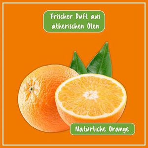 Produktbild für Hygienereiniger Poliboy Bio, Küche, 02500