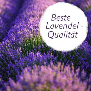 Produktbild für Mottenschutz Lavodia Lavendel-Duftsäckchen