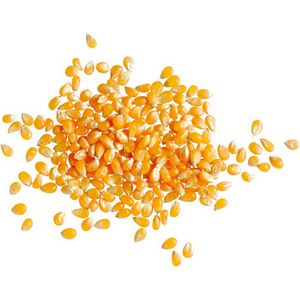 Produktbild für Popcorn Seeberger Popcorn-Mais