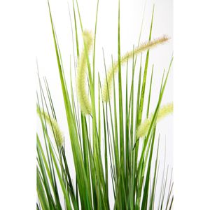 Produktbild für Kunstpflanze I.GE.A. Fuchsschwanzgras