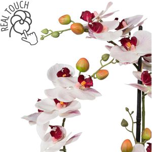 Produktbild für Kunstblume Creativ-green Orchidee, Phalaenopsis