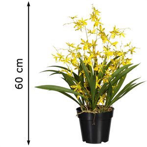 Produktbild für Kunstblume Creativ-green Orchidee, Oncydie