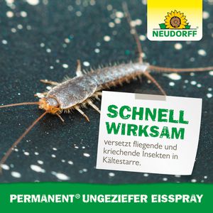Produktbild für Insektenspray Neudorff Permanent Ungeziefer Eisspray