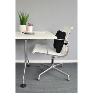 Produktbild für Rückenstütze DESQ 1341