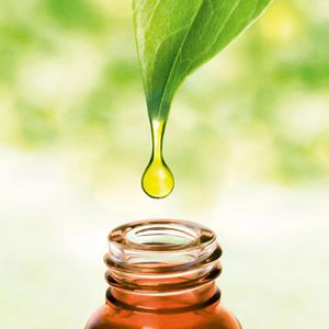 Produktbild für Duftöl Primavera Duftendes Zitrusglück