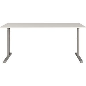 Produktbild für Schreibtisch Germania Profi 3.0, 4252-583, lichtgrau / silber