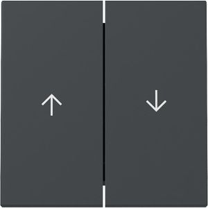 Produktbild für Schalter-Wippe Gira System 55, 3294 28