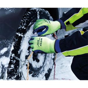 Produktbild für Arbeitshandschuhe ACE-Instruments Frost 535797