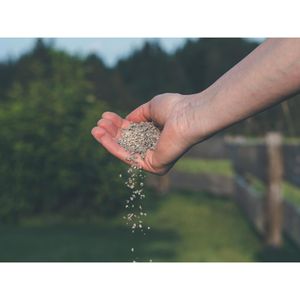 Produktbild für Dünger Substral Naturen 6-in-1 Rasendünger