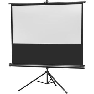 Beamer-Leinwand Celexon Economy