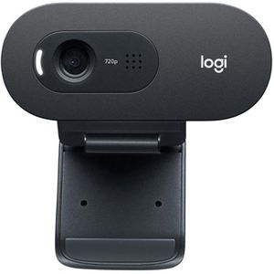 Produktbild für Webcam Logitech C505E HD 960-001372