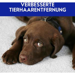 Produktbild für Teppichreiniger Vanish Teppich- &amp; Polsterpflege