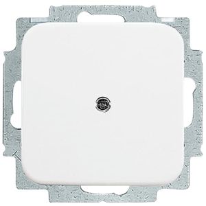 Zentralplatte Busch-Jaeger 2538-214, Unterputz