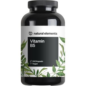 Produktbild für Vitamin-B natural-elements Pantothensäure, 240 Kapseln