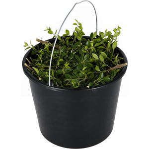 Produktbild für Baueimer Kistenberg 12 Liter