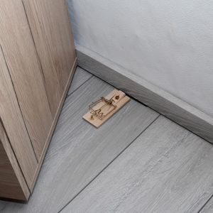 Produktbild für Mausefalle Gardigo 623262