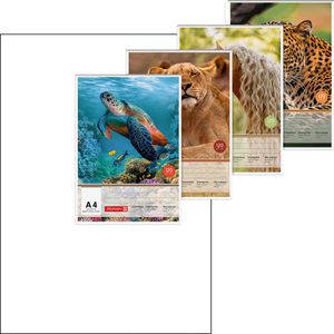 Zeichenblock Brunnen 104744509, A4