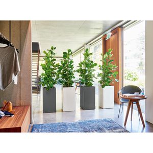 Produktbild für Übertopf Lechuza CANTO Premium 40 high, anthrazit, 40x76x40 cm