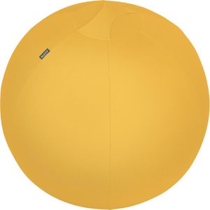 Sitzball Leitz Ergo Cosy Active, belastbar bis 100 kg