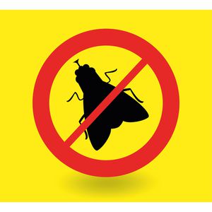 Produktbild für Fliegenfalle Elina-Clean Fenster, transparent zum Ankleben