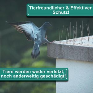 Produktbild für Vogelabwehr PRIOstahl Taubenspikes, 5 Meter