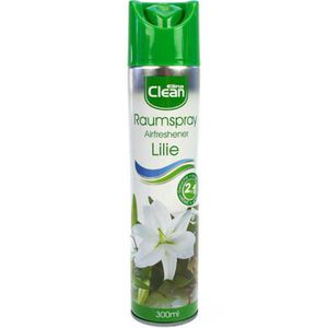 Raumduft Elina-Clean 2in1, 300 ml
