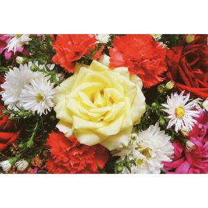 Produktbild für Grußkarten Böttcher-AG Blumen, sortiert
