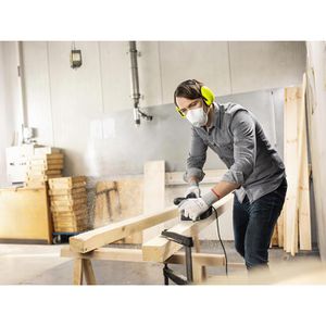 Produktbild für Atemschutzmaske Moldex Klassiker 2555