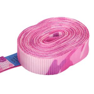 Produktbild für Spanngurt Sandax 329, pink, mit Ratsche