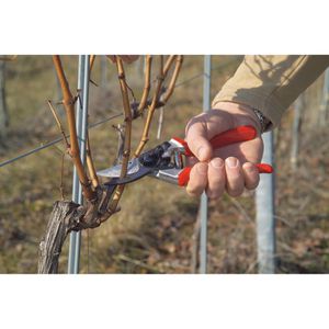 Produktbild für Gartenschere FELCO 8, Bypass