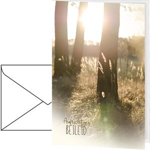 Trauerkarten Böttcher-AG 81sk3776