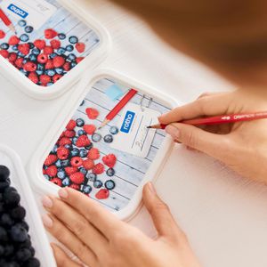 Produktbild für Frischhaltedose Rotho Domino, aus Kunststoff