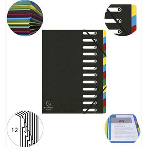 Produktbild für Ordnungsmappe Exacompta 55121E Harmonika, A4