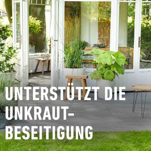 Produktbild für Grundstoff Compo Bio Essig, Konzentrat