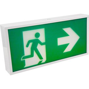 Notleuchte McShine FL-919, LED