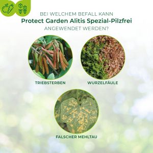 Produktbild für Fungizid Protect-Garden Alitis Spezial-Pilzfrei, Konzentrat
