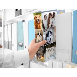 Produktbild für Ordner Herma 7165 Animals, Karton, A4